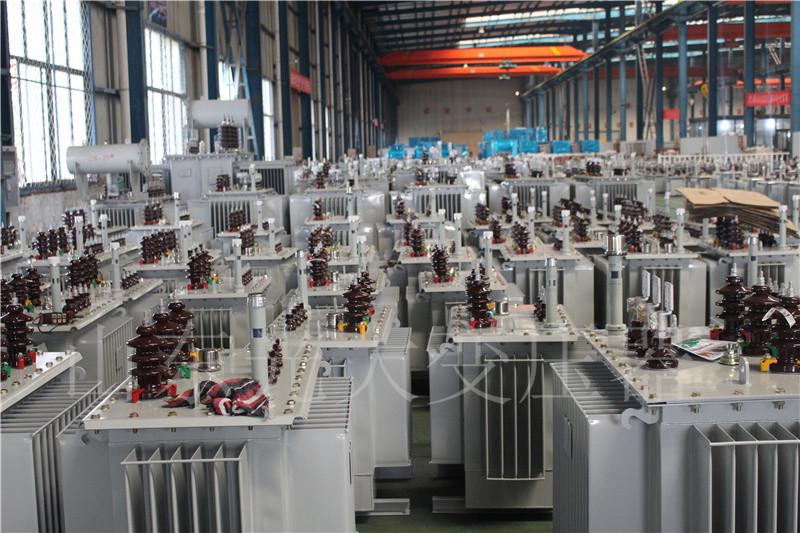 贞丰S22-800KVA/10KV